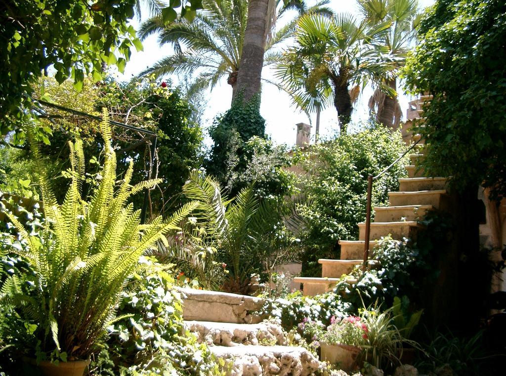 Finca Raims Algaida  Dış mekan fotoğraf