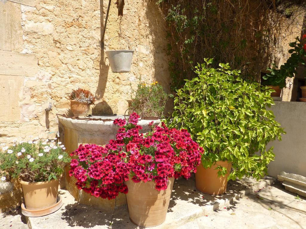 Finca Raims Algaida  Dış mekan fotoğraf